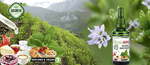 ALPHAPOWER FOOD Original reine Stevia Zucker Drops 1x100ml, Vegan & GMO-frei, flüssiger Zuckerfreier Zuckerersatz ohne Kalorien, Liquid Süßstoff zum Tropfen ohne Geschmack zum Backen & Flüssigkeiten