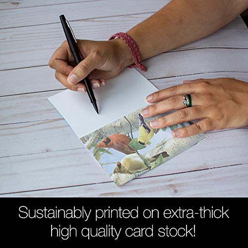 Cartes oiseaux chanteurs préférés Tree-Free Greetings 66507 lot de 12 - 4