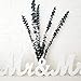Preserved Fresh Eucalyptus Branches 17inch, 5Pcs Dried Eucalyptus Stems for Flower Arrangements Wedding Home Decor