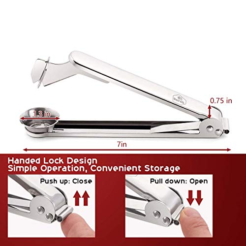 Nurch Plum Pitter Tool, 304 Stainless Steel Plum Stone and Corer Pitter, Ergonomical and Portable Plum Pitting Tool for Kitchen, Great for Cherry, Jujube, Red Date, Hawthorn