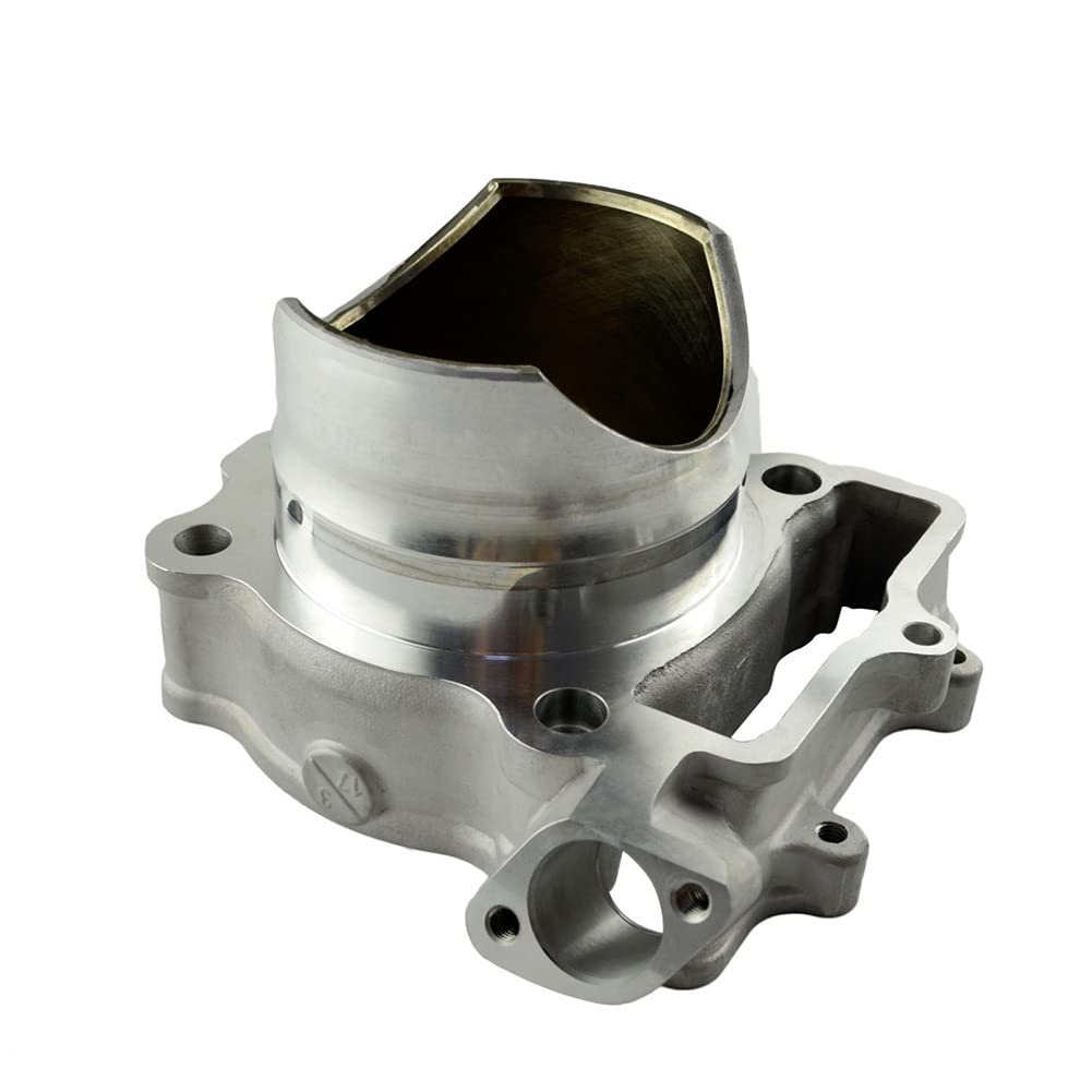 AHL Cilindro de 77mm, kit de juntas de culata, kit de pistón, filtro de aceite, filtro de combustible y tubo de aceite de 40cm compatible con Kawasaki KXF250 2009-2016