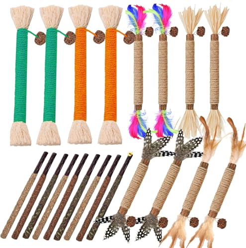 Cat-Toys-21Pack-Silvervine-Chew-Stick-Kitten-Treat-Catnip-Toy-Kitty-Natural-Stuff-Catnip-Matatabi-for-Cleaning-Teeth-Indoor-Dental-Snack-Interactive Cat Toys 21Pack Silvervine Chew Stick Kitten Treat Catnip Toy Kitty Natural Stuff Catnip Matatabi for Cleaning Teeth Indoor Dental Snack Interactive - Image 1