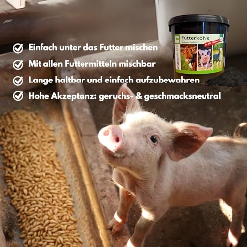 CarboVerte Nutztier-Futterkohle 3,5 kg – Höchste Standards für Futtermittelsicherheit, Bei Verdauungsproblemen & Durchfall bei Rindern, Schweinen, Geflügel - verbesserte Stallhygiene