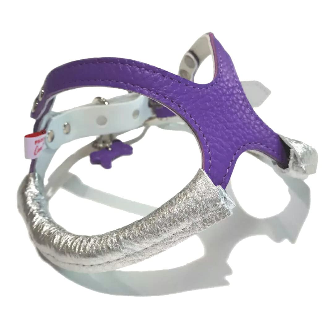 バディーベルト　５号　専用ライナー&リード　バディ 5号サイズ BUDDY BELTS バディーベルト バディベルト ハーネス