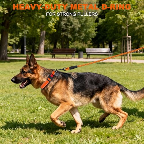 Image of Taglory Reflective Large Dog Collar, Comfort for Safe Night Walks, Orange