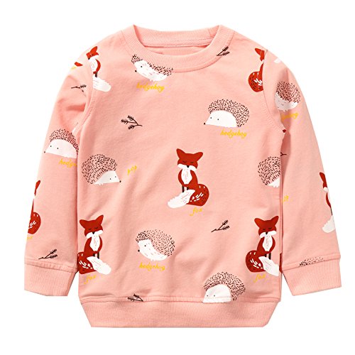Image of Bumeex Girls Cotton Crewneck Cute Sweatshirts The Hedgehog and The Fox Pink 2-7T