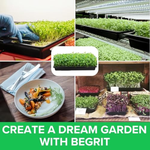 BeGrit 1010 Growing Trays Extra Strength Seed Tray 10" x 10" Without Drain Holes for Seedling Starter Microgreens Wheatgrass Fodder Hydroponic 5-Pack Black - Image 5