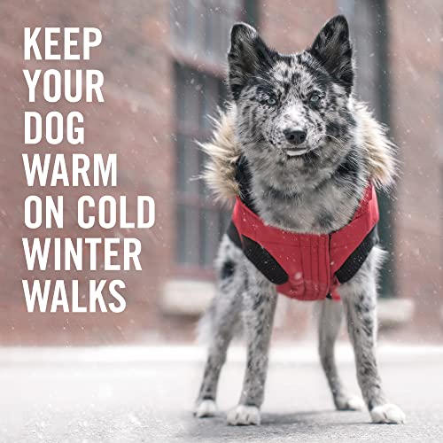 Canada Pooch | North Pole Parka (16 (15-17" Back Length), Red) #TOP1