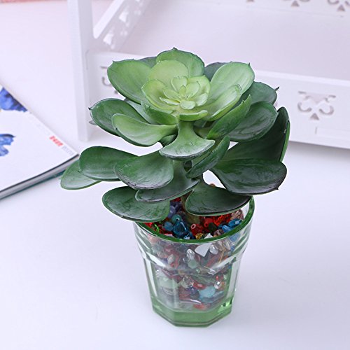 Lopkey Plastic Fake Large Succulents Artificial Plants Set Of 2 #TOP4