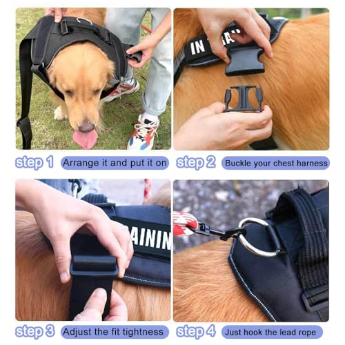 FDEETY Hundegeschirr für Hunde Geschirr Ausbruchsicher Verstellbare Brustgurt mit Frontschnalle Reflektierend Nacht Sicherheitsgeschirr Harness Hund Zubehör für Kleine Mittlere Große (M)