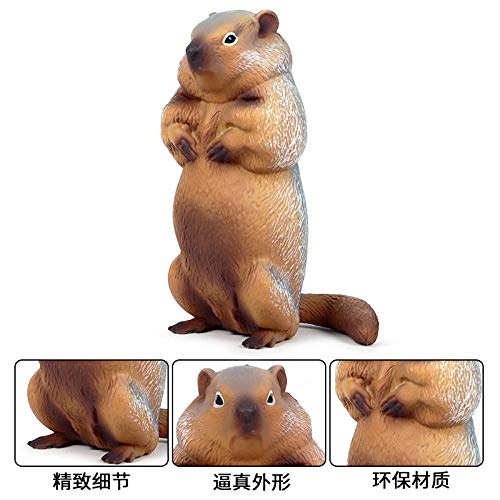 Statue simulation solide marmotte incassable pour remplacer les décos fragiles - 2