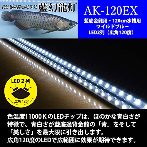 Amazon.co.jp: でんらい アロワナライト 水槽 ライト LED2列 藍底 過背