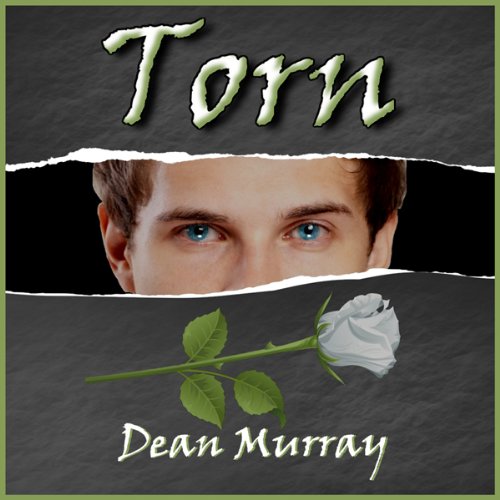 Cover art for Torn