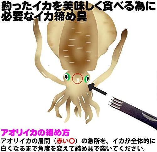 Amazon エギング にすぐに使える エギングセット B Egingset 013 遠里釣具 ロッド リールセット