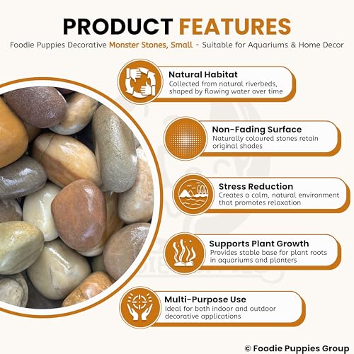 Image of Foodie Puppies River Rocks Natural Multicolour Stones - (Small Monster - 2Kg) (3cm - 5cm) for Aquarium /Fish Tank, Painting, DIY, Arts, Crafts, Home Decoration, Garden, and Swimming Pool