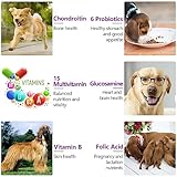 15-in-1-Multivitamin für Hunde, 150 natürliche tägliche Vitamine für Hundegelenke, Haut, Fell, Hautgesundheit, Darmgesundheit, Herzgesundheit für kleine, mittelgroße und große Hunde (Entengeschmack)