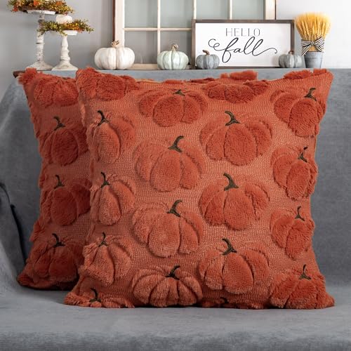 Fall Pillow Covers 18x18 Set of 2 Rust Red Pumpkin Decorations for Home