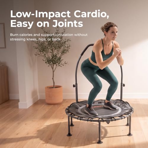 Sunny Health & Fitness 36” Bungee Exercise Trampoline, Adjustable Handlebar - image 2