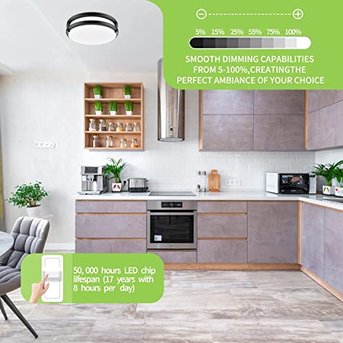Bilrect Flush Mount Ceiling Light, 10 Inch Dimmable Ceiling Light, 2200Lm 24W[250W Equiv], 3000K/4000K/5000K Led Ceiling Lights Fixtures For Bedroom, Kitchen, Hallway, Bathroom, Etl Listed-2 Pack #TOP2