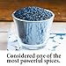The Spice Way - Pure Nigella Seeds no preservatives, non GMO, no salt, just the black seed of the nigella (nigala) 2 oz