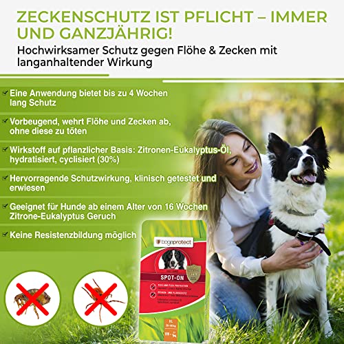 bogaprotect Spot ON Hund Floh Zeckenmittel für Hunde Natürlicher Zeckenschutz für Hunde UBO0354 Vorrat für 12 Wochen XL (30-50 kg)