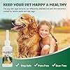 Dog-Wart-Remover-Natural-Dog-Wart-Removal-Treatment-Skin-Tag-Remover-Rapidly-Eliminates-Pets-Warts-Harmless-Pain-Free-No-Irritation-Effective-Skin-Tag-Removal Natural Dog Wart Remover - Rapid Elimination Solution | Safe & Effective