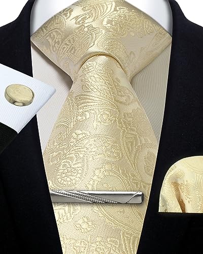 Image of Paisley Floral Mens Tie Formal Necktie Pocket Squares Ties Clips Cufflinks Classic for Men Set
