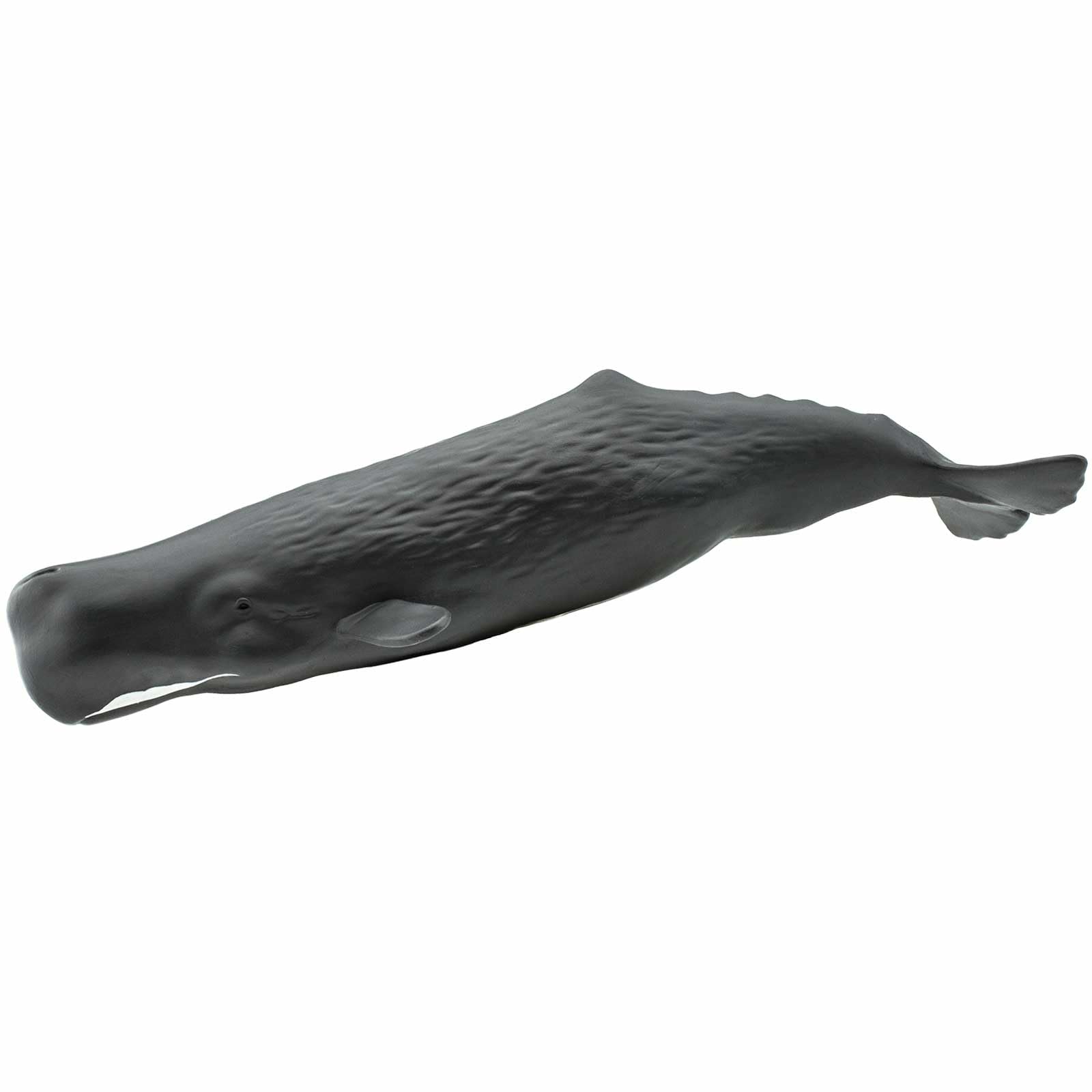 Safari Ltd. | Sperm Whale | Wild Safari Sea Life Collection | Toy Figurines for Boys & Girls