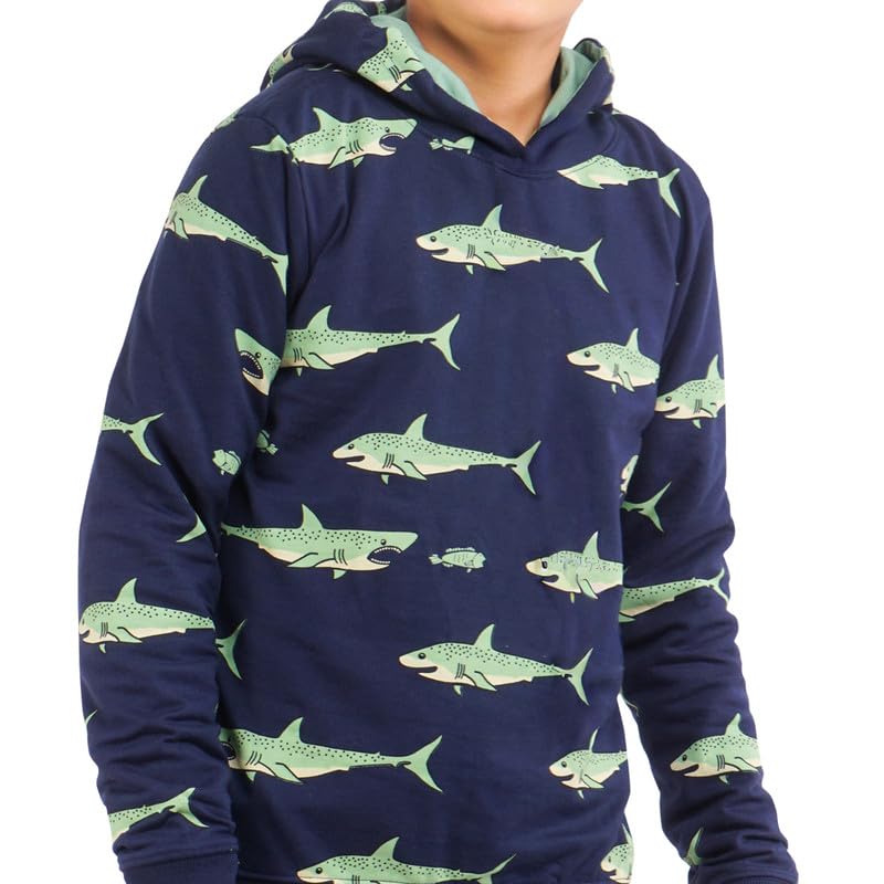 Image of Real Basics Boys Cotton Hooded Sweatshirt(Pack of 1)