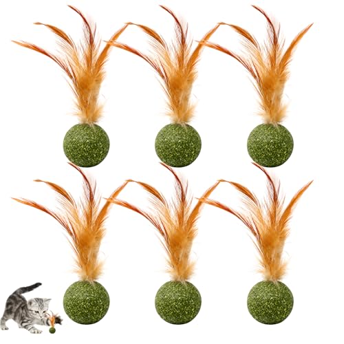 JBLJDWD 6Pcs Catnip Ball Cat Play Balls for Hunting and Chasing Feather Catnip Balls for Batting Actions Rolling Play for Multi-Cat Use