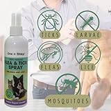 One Step: Flea & Tick 250ml Shampoo + 250ml Spray for Dogs & Cats 100% Natural, Allergen Free, Scent of Lavender - Image 3