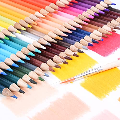 Top 10 Best Colored Pencils For Layering Reviews & Buying Guide Katynel