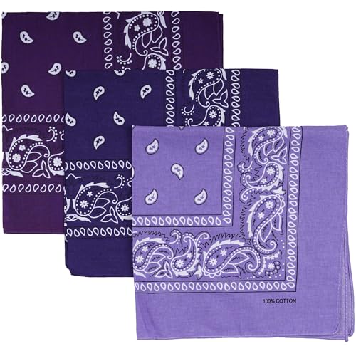 Raylarnia 100% Cotton Large Bandanas for Men and Women 22 Inch Paisley Bandana with Multiple ColorsDark Purple/Purple/Lavender