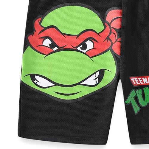 Image of Nickelodeon Teenage Mutant Ninja Turtles Boys 2 Piece Pullover T-Shirt and Shorts Set for Toddler and Big Kids