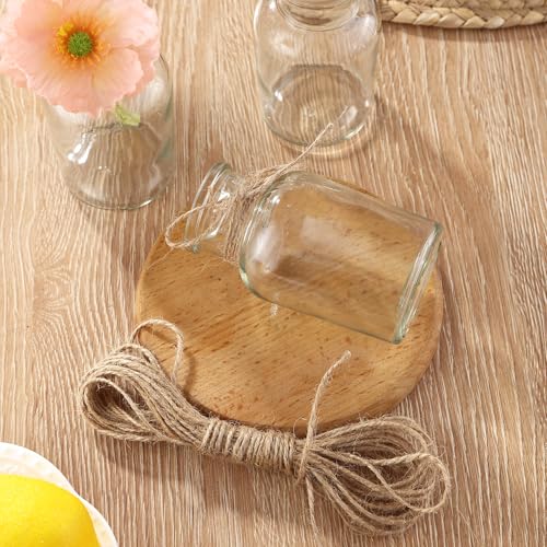 12 Stück Kleine Vasen,125ml Vasen Klein Tischdeko mit 10M Juteschnur,Glasvasen FüR Tischdeko,Retro Design,geeignet für Hochzeitsdekoration,Geburtstag,Party Set (125 ML)