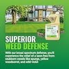 Albaugh Sublime Weed Killer, Unrivaled Defense Against Crabgrass, Creeping Charlie, Dandelions & More, Non-Bleaching, Fast-Acting, Commercial & Residential, 1 Quart