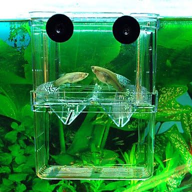 Aquarium Breeding Box (10 Cm X 7 Cm X 13 Cm.)