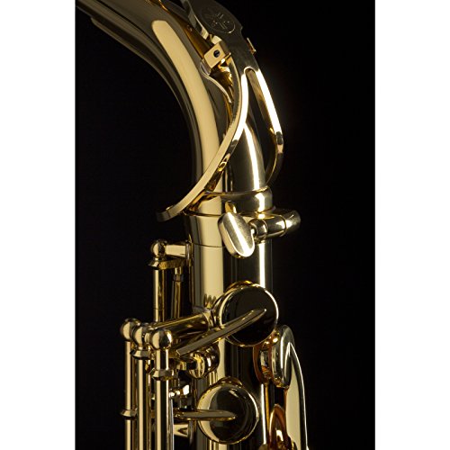 yamaha yas-280 saxophones student alto saxophones eb gold lacquer
