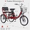Adult Electric Tricycle Adult Tricycle 3 Wheel Bikes Adults Electric Three Wheel Bike Two-Person Electric Tricycle Large Capacity Basket 48V13AH (red) #1