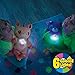 ONTEL Star Belly Dream Lites, Stuffed Animal Night Light, Shimmering Rainbow Unicorn - Projects Glowing Stars & Shapes in 6 Gentle Colors, As Seen on TV