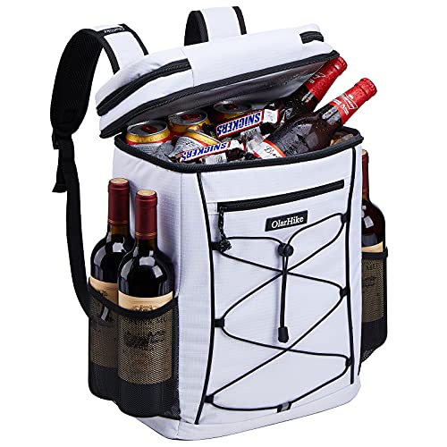 10 Best Top 10 Backpack Cooler Picks For 2021 of 2022
