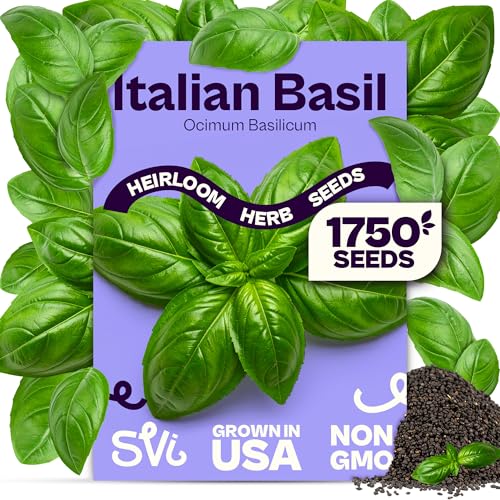 SVI 1750 Italian Basil Seeds (Ocimum basilicum) Large Leaf Sweet Genovese Basil Seed Packets Non GMO Italian Herbs Heirloom Herb Seeds for Outdoor & Indoor Herb Garden Containers
