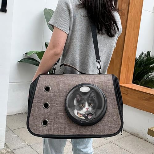Étui de transport pliable pour chat en toile Oxford robuste