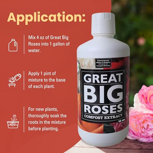Great Big Roses – Soil and Rose Fertilizer Booster to Grow The Best Roses and Flowers; Rose Food Compost Extract for Rose Bush, 32 Ounce Concentrate (Makes 8 Gallons)