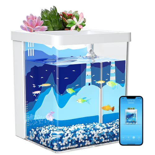 10 Best Filter For Betta Fish Review And Buying Guide blinkx.tv