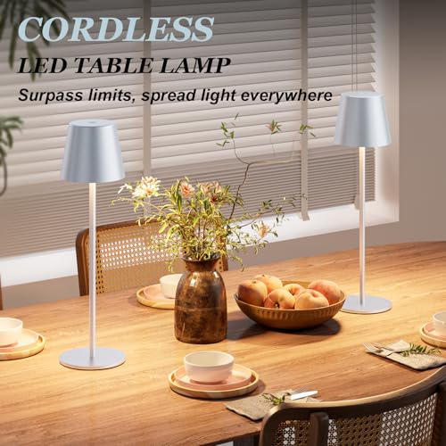 Image of Kakanuo Silver Grey Cordless Lamp Rechargeable - 2 Pack 5000mAH Battery Operated Table Lamp for Counter, 3 Color Stepless Dimming Wireless Lamp for Dining Kitchen, Outdoor Patio, Touch Control