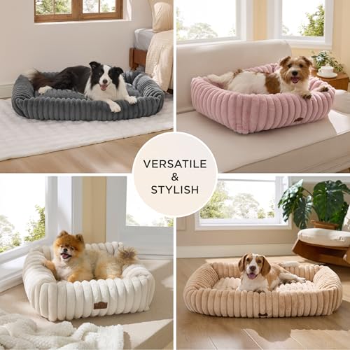 Bedsure Cute Dog Bed for Small Medium Dogs - Washable Furry Puppy Beds, Rectangle Orthopedic Corduroy Fleece Pet Beds with Removable Zipper Cover, 25x21x7inches, Cream - Image 5