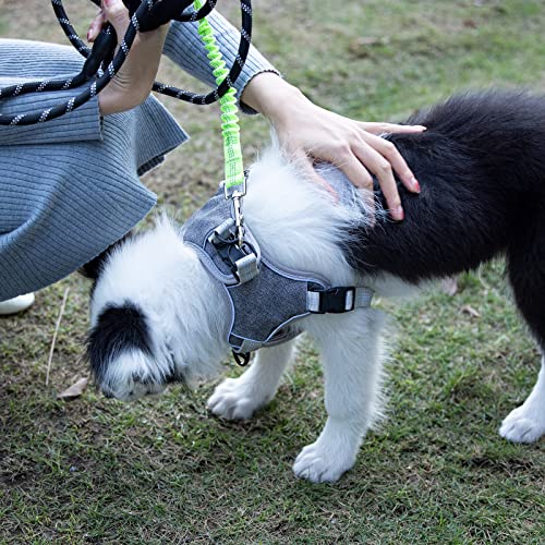 Yangbaga Ruckdämpfer,hundefreundliche Leine, elastische Hunde Leine mit Zugdämpfung, Nylon-Kurzleine Perfekte Dämpfung beim Fahrrad für Hunde ab Kleiner Größe Grün (2 * 26cm)