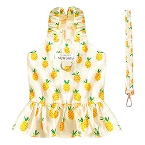 PETPUBGNZS Small Dog Dress Harness and Leash Set Cute Princess Birthday Dog Dresses Soft Fruit Print Puppy Dresses Girl Dog Clothes for Small Dogs Cats Chihuahua Yorkie Shih Tzu (Yellow Pineapple,L)