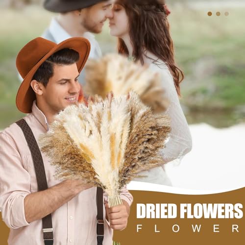 Plantas Secas para Decoração, Decoração de casa boho de grama de pampas fofa, Decorações de festa em